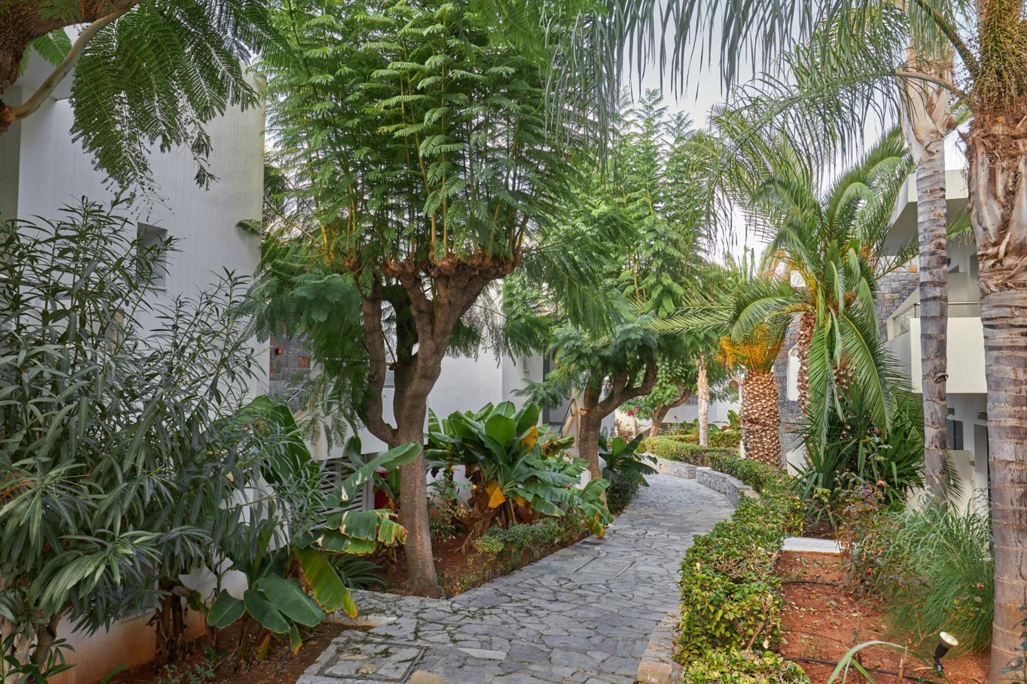 Kyknos Beach Hotel & Bungalows Μάλια Εξωτερικό φωτογραφία