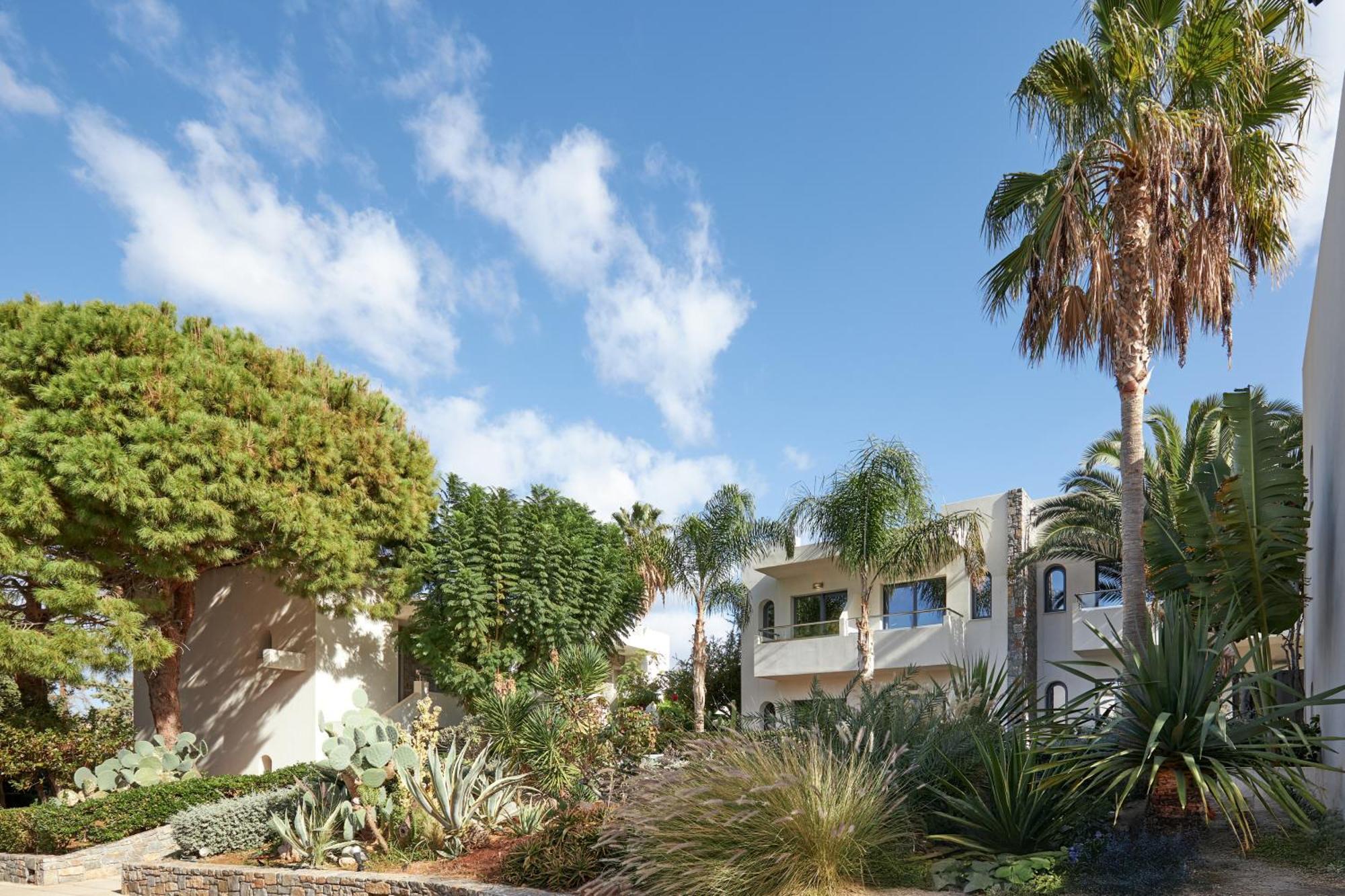 Kyknos Beach Hotel & Bungalows Μάλια Εξωτερικό φωτογραφία